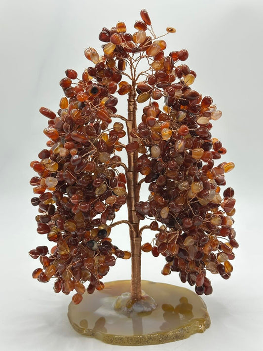 [Limited Stock] Life Tree -Carnelian- Free Shipping