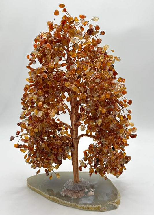 [Limited Stock] Life Tree - Garnet- Free Shipping