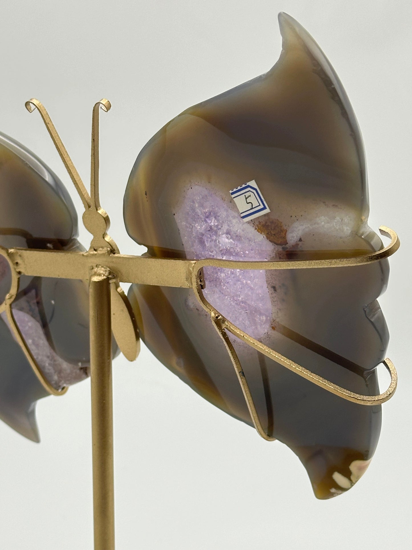 [Limited Stock] Caving - Amethyst Agate Butterfly wings - Free Shipping
