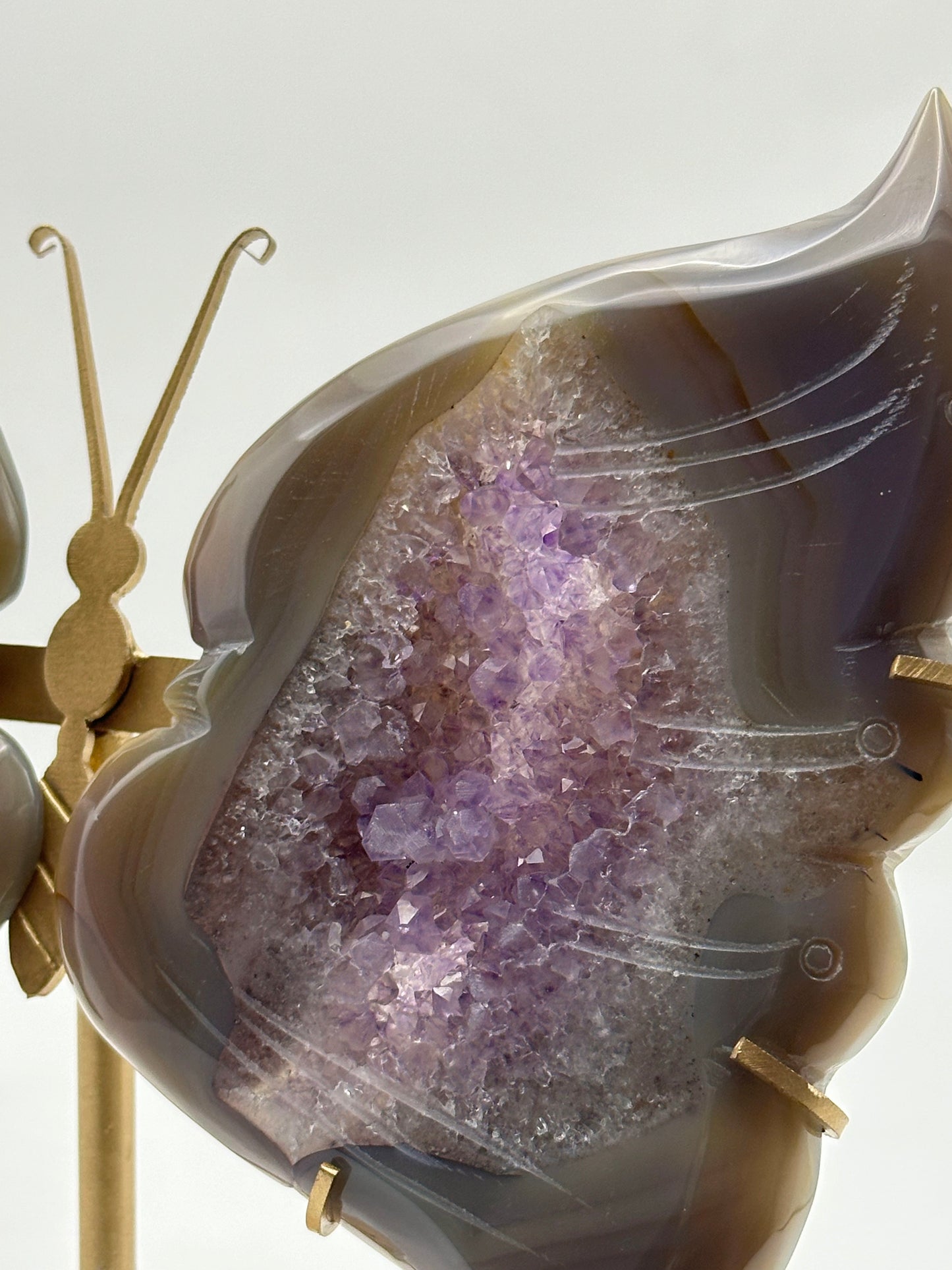 [Limited Stock] Caving - Amethyst Agate Butterfly wings - Free Shipping