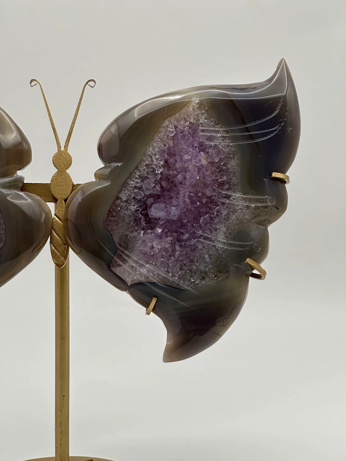 [Limited Stock] Caving - Amethyst Agate Butterfly wings - Free Shipping