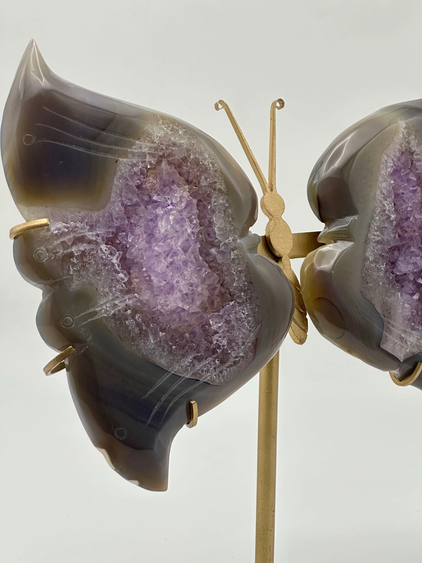 [Limited Stock] Caving - Amethyst Agate Butterfly wings - Free Shipping