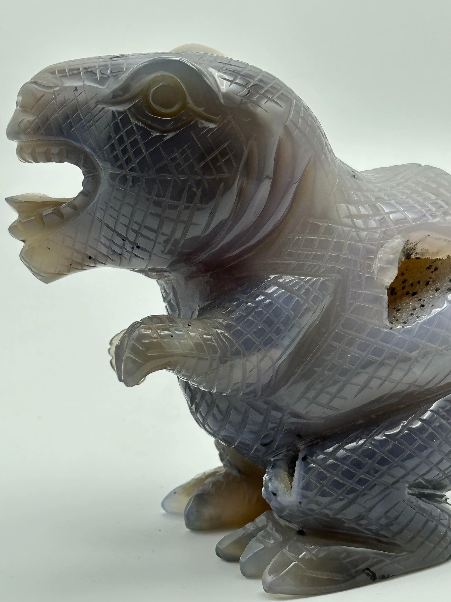 [Limited Stock] Caving - Agate T. Rex - Free Shipping