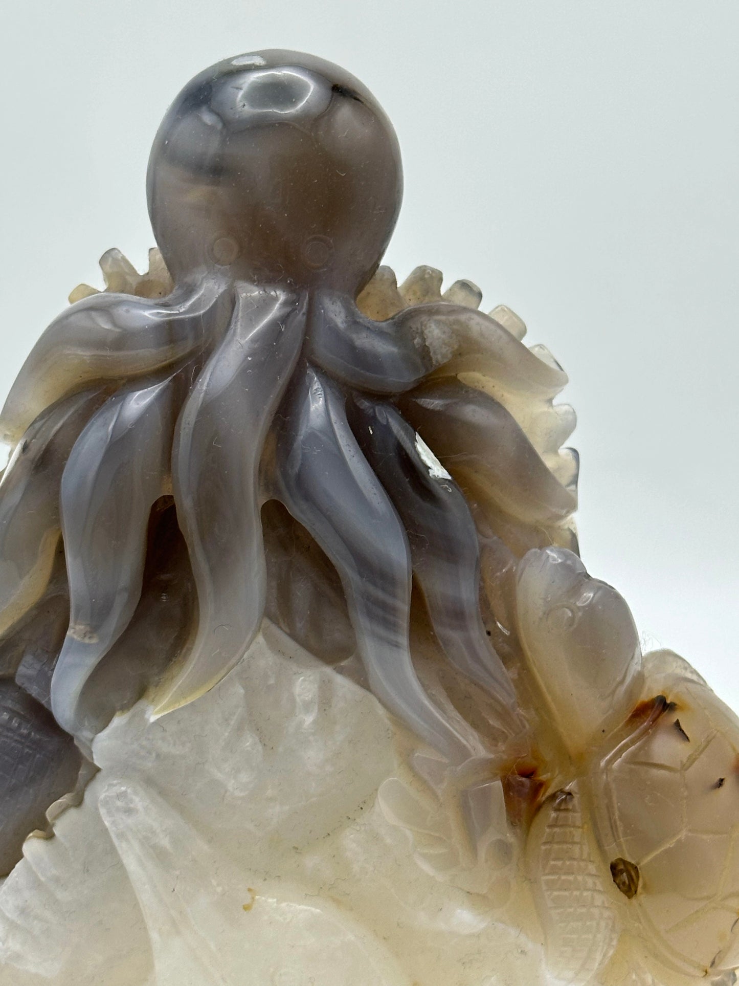 [Limited Stock] Caving - Agate Underwater world- Free Shipping