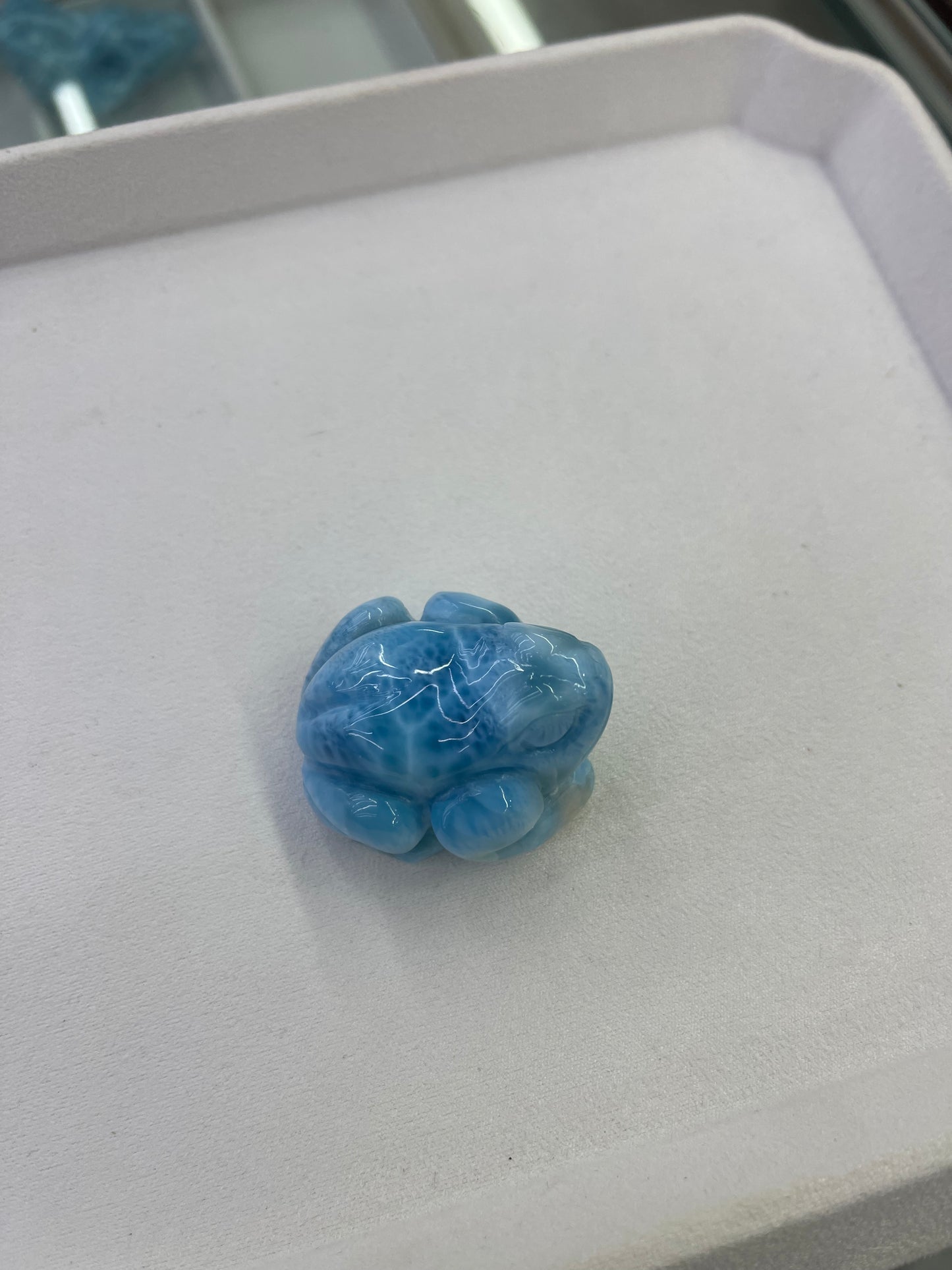 Amigo Larimar frog